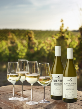 Vinsmagning